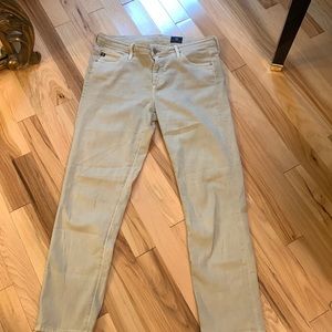 AG SIZE 28 the prima crop